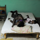 People remain at a shelter in Guantanamo city, east of Cuba on October 4, 2016 ahead of the arrival of Hurricane Matthew. The most menacing storm in the Caribbean in nearly a decade, Matthew began battering Haiti late Monday with strong winds and rising sea levels, before barreling ashore some 250 miles west of the capital Port-au-Prince. (Image: Getty)